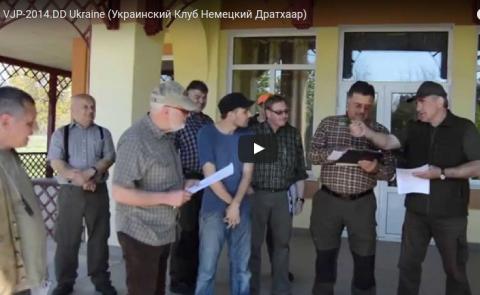 VJP-2014.DD Ukraine (Український Клуб Німецький Дратхаар)