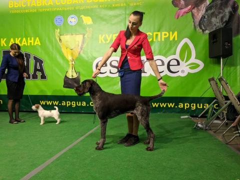 25.02.2018 CAC-UA “Espree Cup -2018”