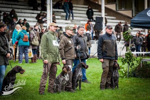 HEGEWALD-2019 Aik Anima Venator-2 place 244 Punkte.