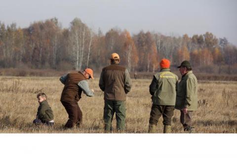 Осінні випробування молодняку