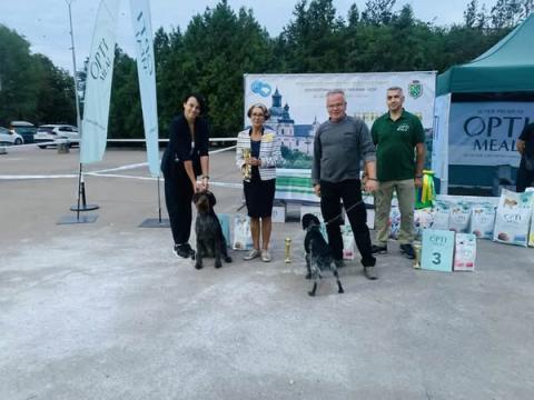 Виставка Бердичів 🇺🇦 13-14.09.25