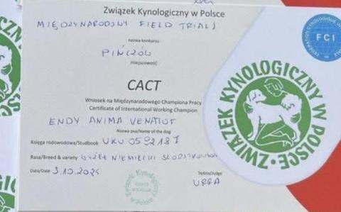 САСІТ Пінчув 