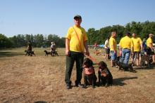 VI Всеукраинская выставка охотничьих собак