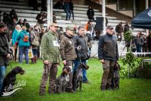 HEGEWALD-2019 Aik Anima Venator-2 place 244 Punkte.