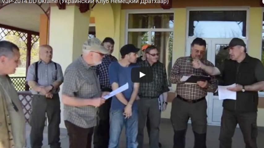 VJP-2014.DD Ukraine (Український Клуб Німецький Дратхаар)
