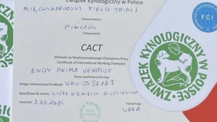 САСІТ Пінчув 